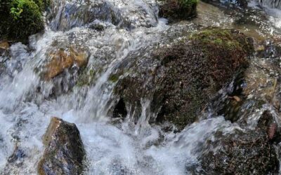 Retreat Selbstheilungskräfte aktivieren