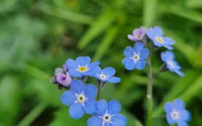 Retreat SelbstliebeÂ